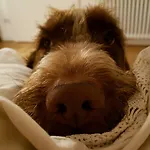 Ovo - Slow Travel B&B